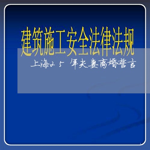 上海25年夫妻离婚誓言/2023030247370 上海25年夫妻离婚誓言/2023030247370