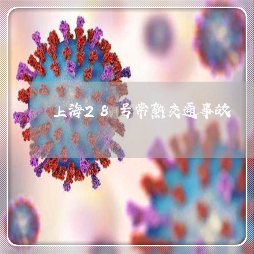 上海28号常熟交通事故/2023030238380 上海28号常熟交通事故/2023030238380