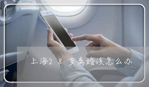 上海28岁离婚该怎么办/2023030114027 上海28岁离婚该怎么办/2023030114027