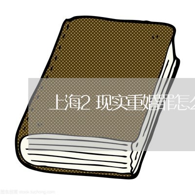 上海2现实重婚罪怎么判/2023030145738 上海2现实重婚罪怎么判/2023030145738