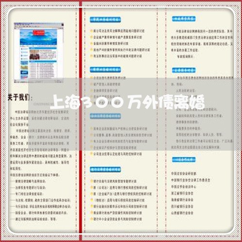 上海300万外债离婚/2023021443726
