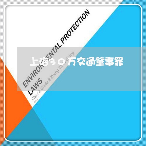 上海30万交通肇事罪/2023021449592
