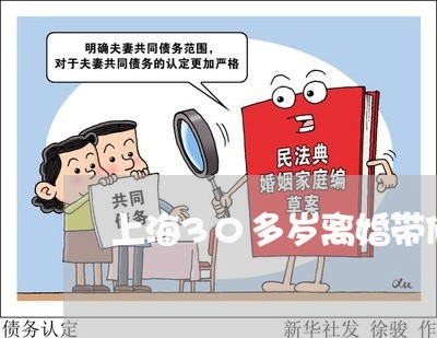 上海30多岁离婚带俩娃/2023030139501 上海30多岁离婚带俩娃/2023030139501