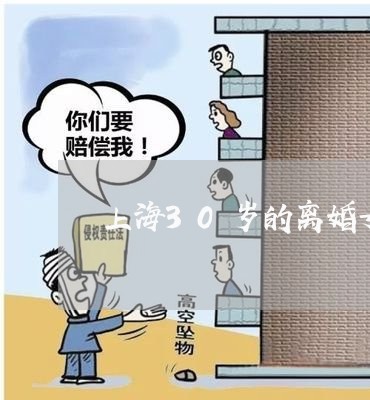 上海30岁的离婚女人/2023021474825 上海30岁的离婚女人/2023021474825
