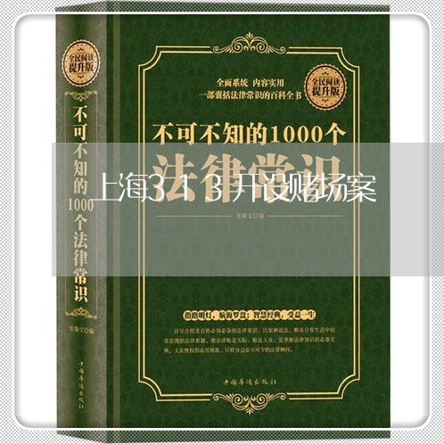 上海313开设赌场案/2023021472715