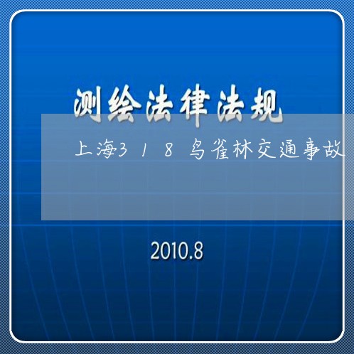 上海318鸟雀林交通事故/2023032006038 上海318鸟雀林交通事故/2023032006038