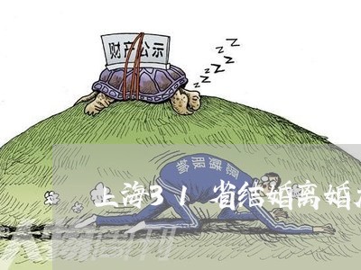 上海31省结婚离婚大数据/2023032017393 上海31省结婚离婚大数据/2023032017393