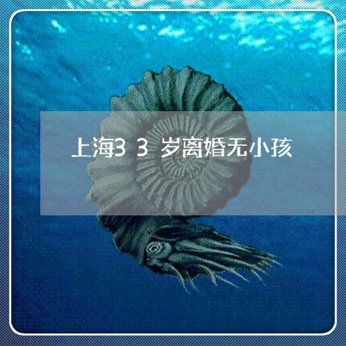 上海33岁离婚无小孩/2023021471726 上海33岁离婚无小孩/2023021471726