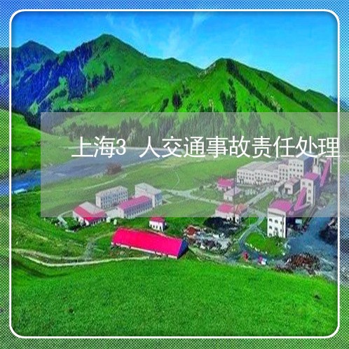 上海3人交通事故责任处理/2023032081694 上海3人交通事故责任处理/2023032081694