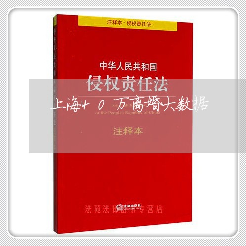 上海40万离婚大数据/2023041062826