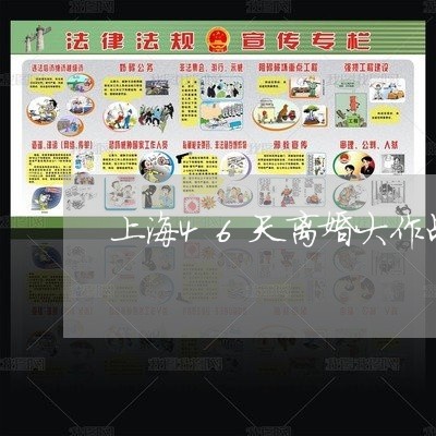 上海46天离婚大作战/2023021349473 上海46天离婚大作战/2023021349473