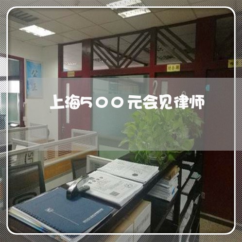 上海500元会见律师/2023021343027 上海500元会见律师/2023021343027