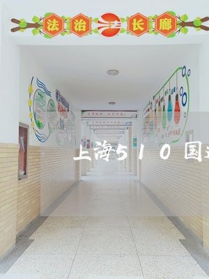 上海510国道交通事故/2023030171834