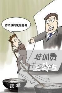 上海51重庆交通事故/2023021449361 上海51重庆交通事故/2023021449361