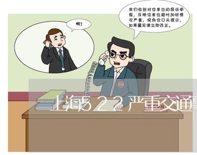 上海522严重交通事故/2023030109483 上海522严重交通事故/2023030109483