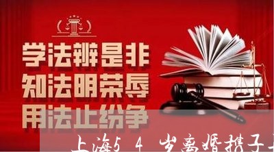 上海54岁离婚携子再婚/2023030183625