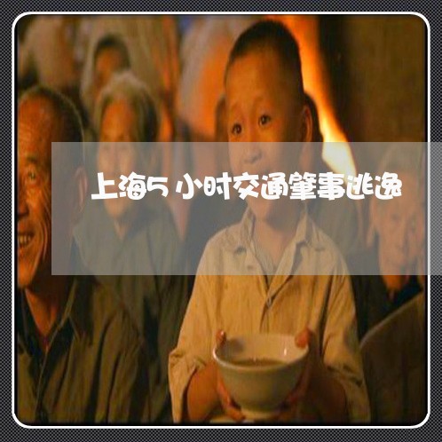 上海5小时交通肇事逃逸/2023030139370 上海5小时交通肇事逃逸/2023030139370