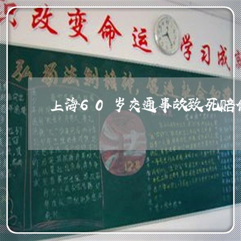 上海60岁交通事故致死赔偿/2023041470415