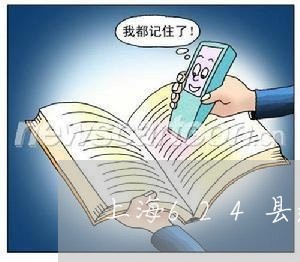 上海624县道交通事故/2023030248391 上海624县道交通事故/2023030248391
