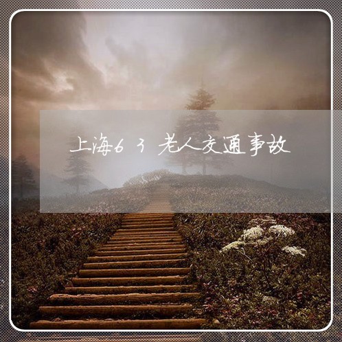 上海63老人交通事故/2023021418160 上海63老人交通事故/2023021418160