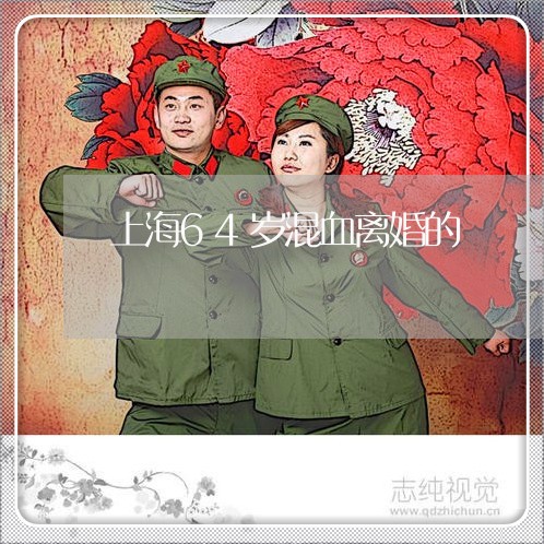 上海64岁混血离婚的/2023021402482 上海64岁混血离婚的/2023021402482