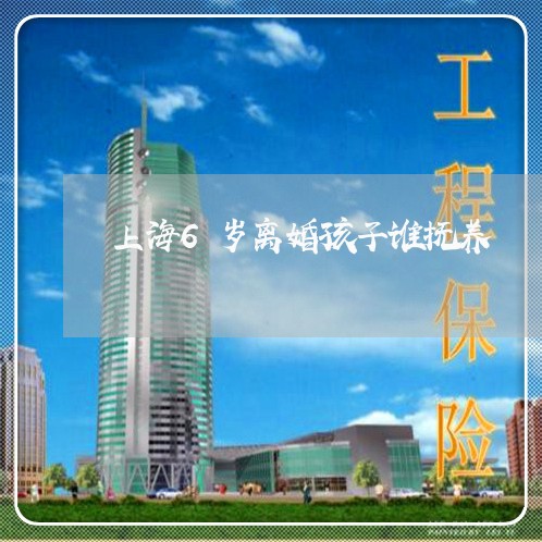 上海6岁离婚孩子谁抚养/2023030227382