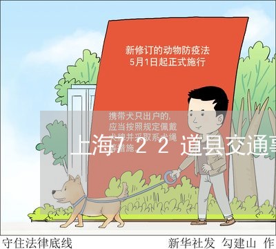 上海722道县交通事故/2023030227691