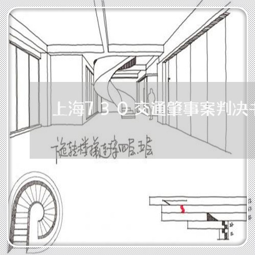 上海730交通肇事案判决书/2023041462829