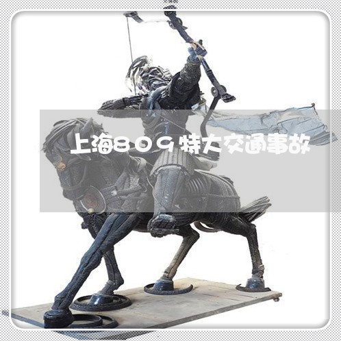 上海809特大交通事故/2023030171705