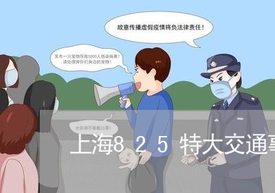 上海825特大交通事故/2023030104824