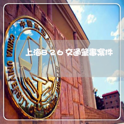 上海826交通肇事案件/2023030193828