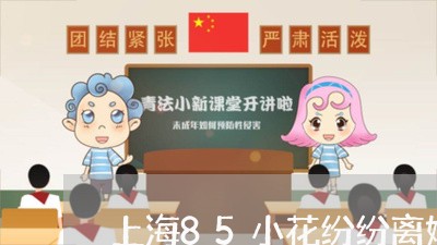 上海85小花纷纷离婚/2023021323847 上海85小花纷纷离婚/2023021323847