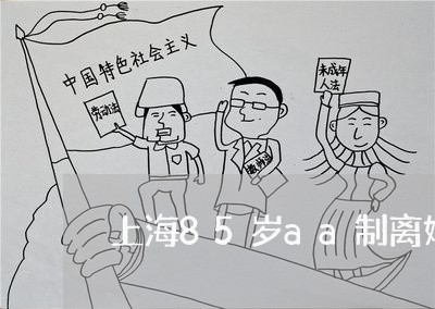上海85岁aa制离婚案/2023030161470 上海85岁aa制离婚案/2023030161470