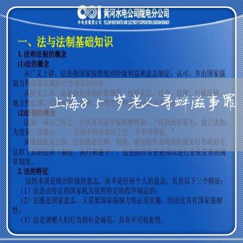 上海85岁老人寻衅滋事罪/2023032077959