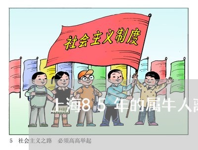 上海85年的属牛人离婚率/2023032017179