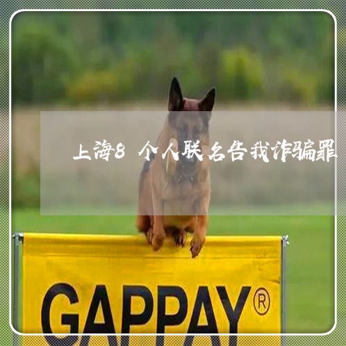 上海8个人联名告我诈骗罪/2023032025240