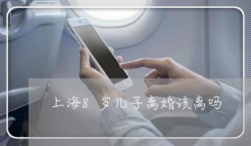上海8岁儿子离婚该离吗/2023030104735 上海8岁儿子离婚该离吗/2023030104735