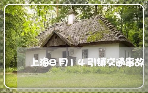 上海8月14引镇交通事故/2023032040482