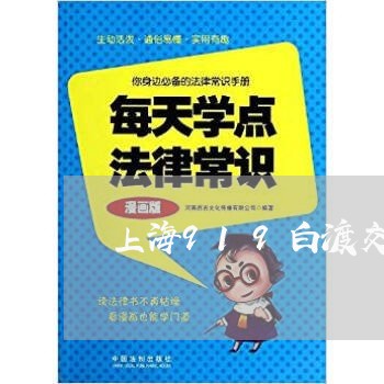 上海919白渡交通事故/2023030171628 上海919白渡交通事故/2023030171628