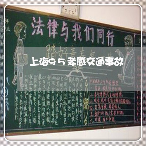 上海95孝感交通事故/2023021405027 上海95孝感交通事故/2023021405027