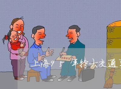 上海95年特大交通事故/2023030129260 上海95年特大交通事故/2023030129260