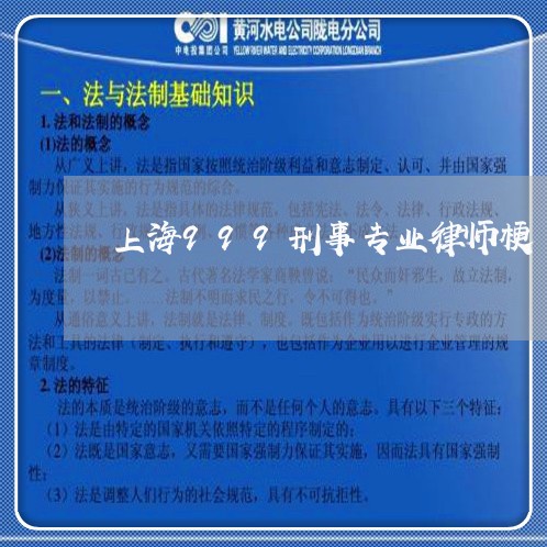 上海999刑事专业律师梗/2023032030371 上海999刑事专业律师梗/2023032030371