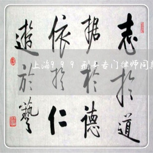 上海999刑事专门律师同款/2023041426349