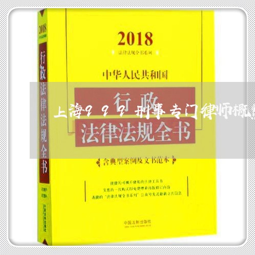 上海999刑事专门律师概览/2023041460515