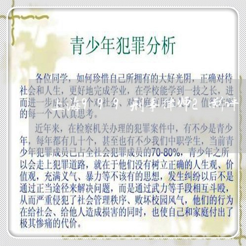 上海999刑事律师2影评/2023032040464 上海999刑事律师2影评/2023032040464