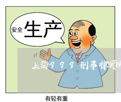 上海999刑事律师灯/2023021450461 上海999刑事律师灯/2023021450461
