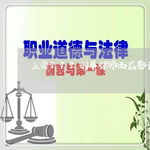 上海999刑事律师西瓜影音/2023041486262