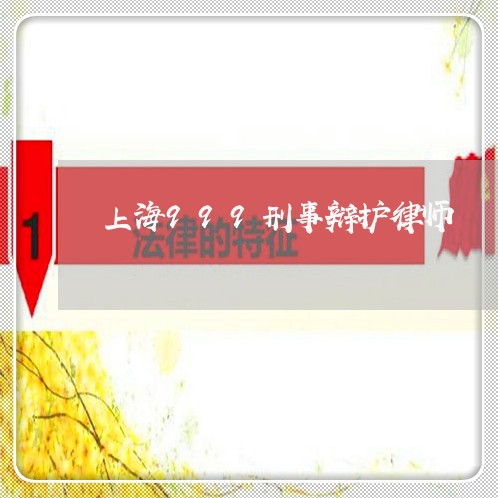 上海999刑事辩护律师/2023030140582