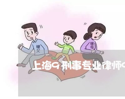 上海9刑事专业律师999/2023032070603