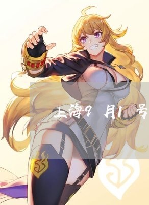 上海9月1号交通肇事案/2023030151603 上海9月1号交通肇事案/2023030151603